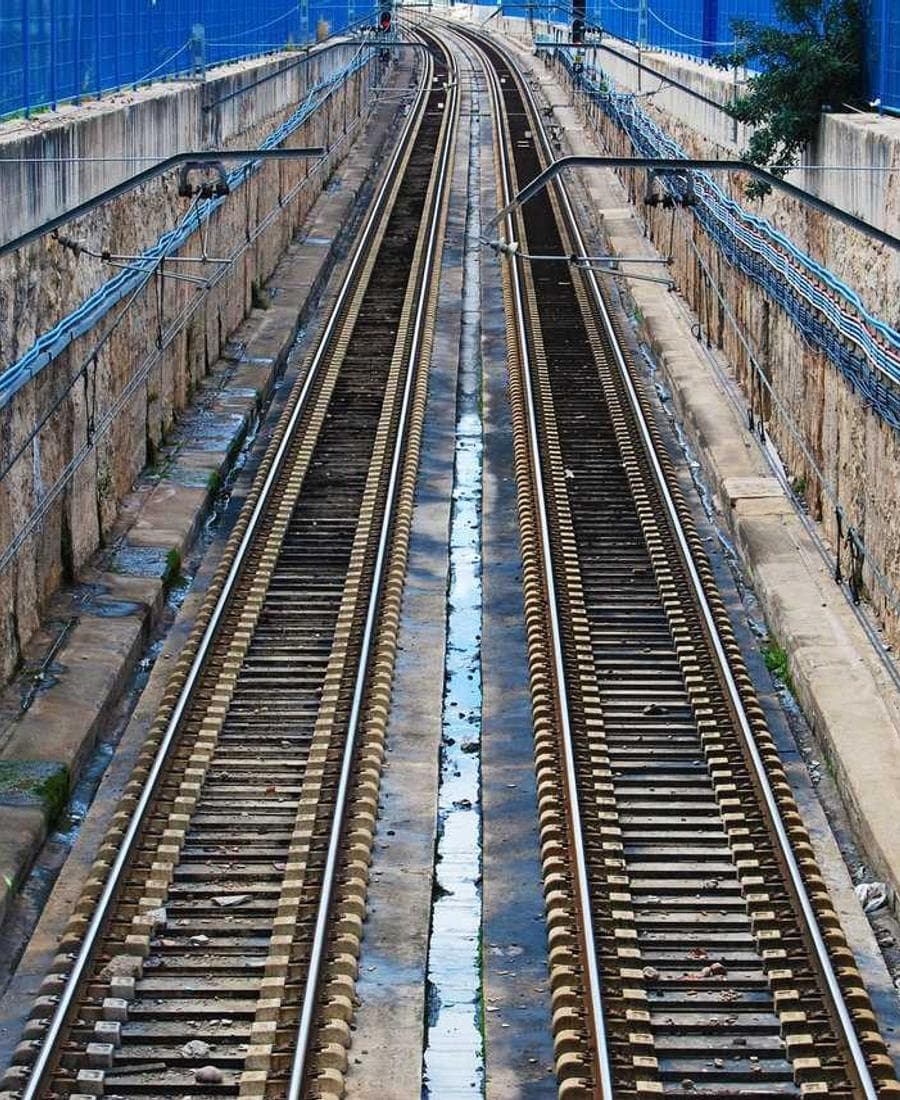 ציפורים בקו אחד